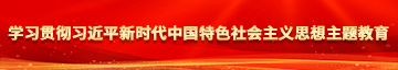 男女插逼视频网站学习贯彻习近平新时代中国特色社会主义思想主题教育